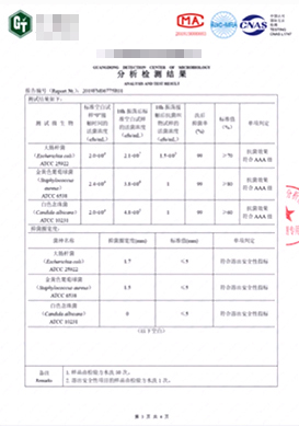 分析检测报告